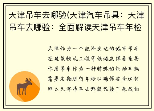 天津吊车去哪验(天津汽车吊具：天津吊车去哪验：全面解读天津吊车年检流程)