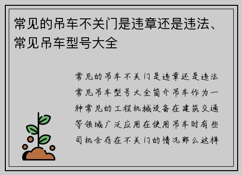 常见的吊车不关门是违章还是违法、常见吊车型号大全